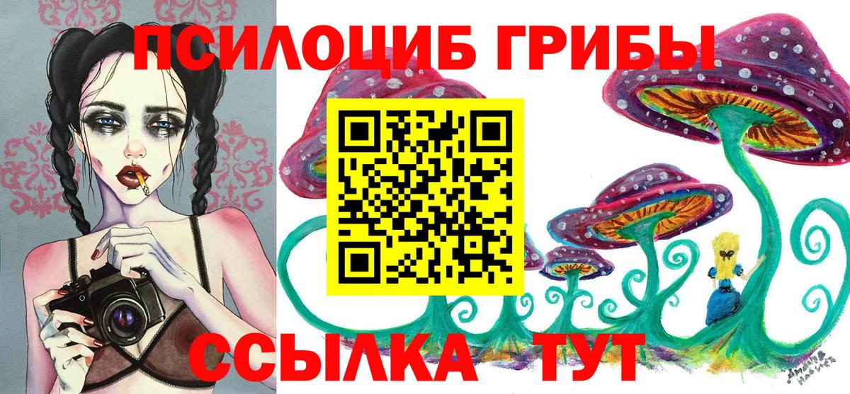 Псилоцибиновые грибы Psilocybine cubensis Петропавловск-Камчатский