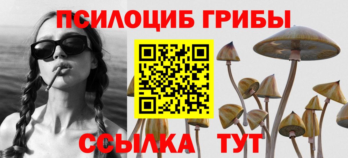 Галлюциногенные грибы MAGIC MUSHROOMS  Вход с VPN  Галлюциногенные грибы Psilocybe  Петропавловск-Камчатский 